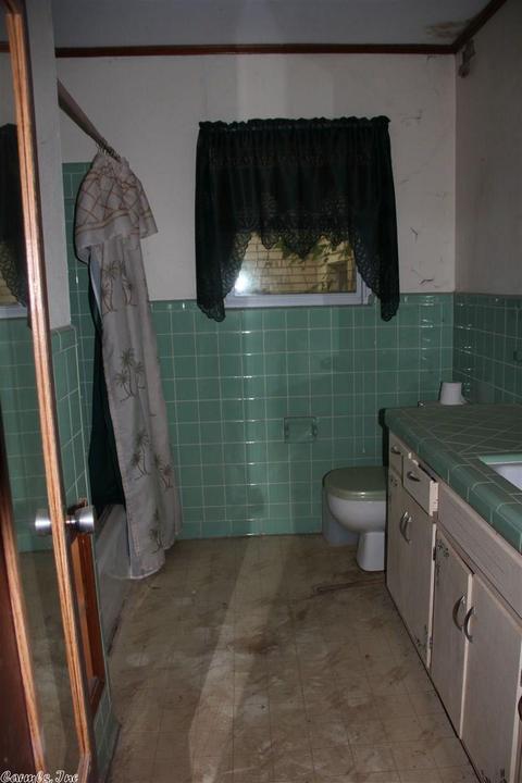 668 Fraser St, Clinton, AR 72031 photo 13