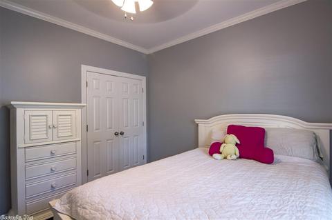 1008 Cherry Ridge Dr, Alexander, AR 72002 photo 22