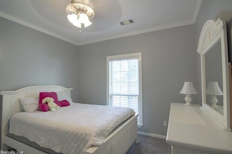 1008 Cherry Ridge Dr, Alexander, AR 72002 photo 20