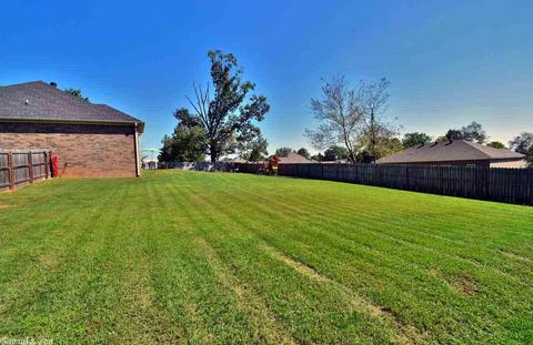 9 White Cloud Dr, Greenbrier, AR 72058 photo 37