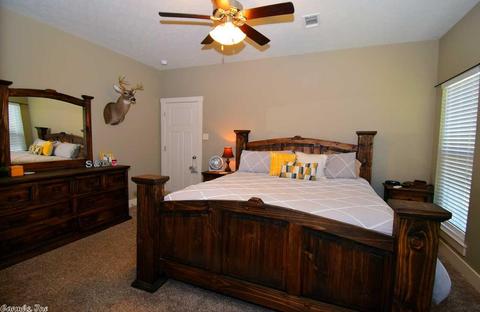 9 White Cloud Dr, Greenbrier, AR 72058 photo 23