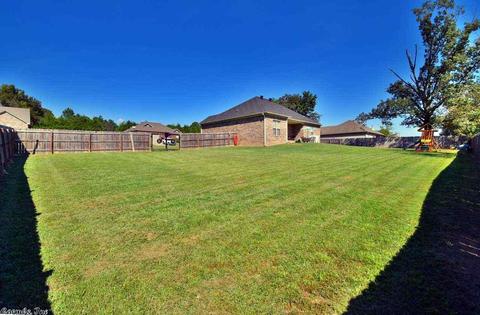 9 White Cloud Dr, Greenbrier, AR 72058 photo 36