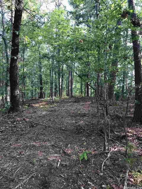 tbd Miners Trl, Mount Ida, AR 71957 photo 1