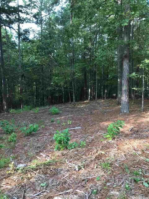 tbd Miners Trl, Mount Ida, AR 71957 photo 7