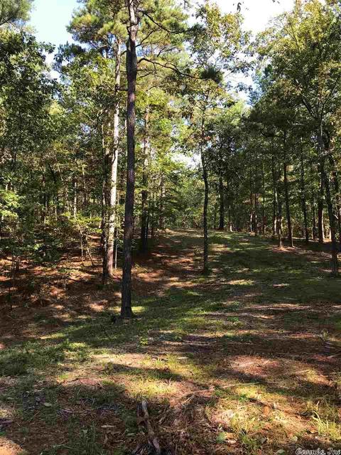 tbd Miners Trl, Mount Ida, AR 71957 photo 6