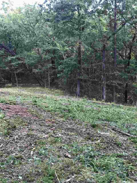 tbd Miners Trl, Mount Ida, AR 71957 photo 3