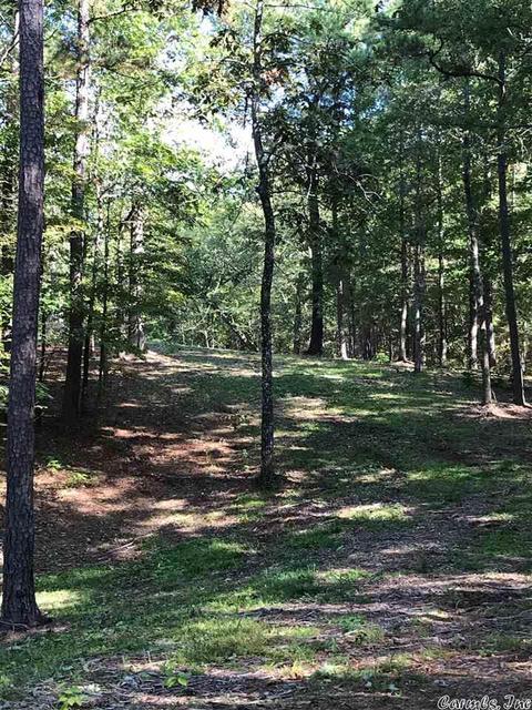 tbd Miners Trl, Mount Ida, AR 71957 photo 5