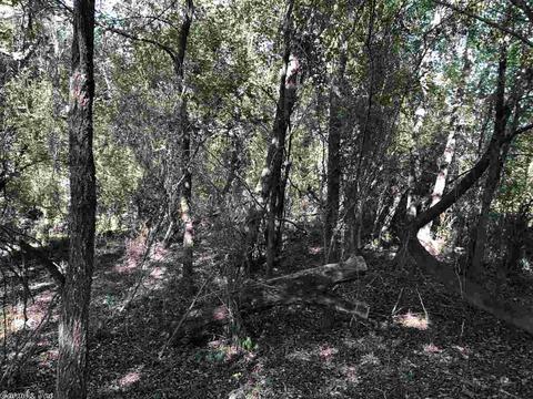 695 Grigsby Ford Rd, Malvern, AR 72104 photo 12