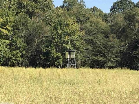 695 Grigsby Ford Rd, Malvern, AR 72104 photo 21