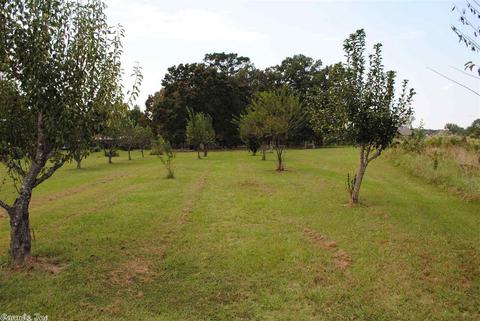 141 Leslie Rd, Conway, AR 72032 photo 38