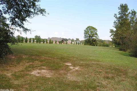 141 Leslie Rd, Conway, AR 72032 photo 39