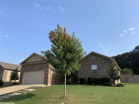 10 Winchester Dr, Austin, AR 72007 photo 2