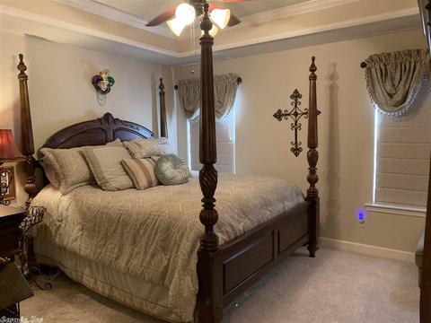10 Winchester Dr, Austin, AR 72007 photo 22