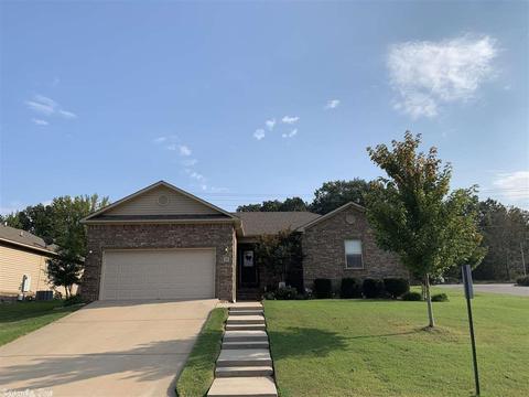 10 Winchester Dr, Austin, AR 72007 photo 37