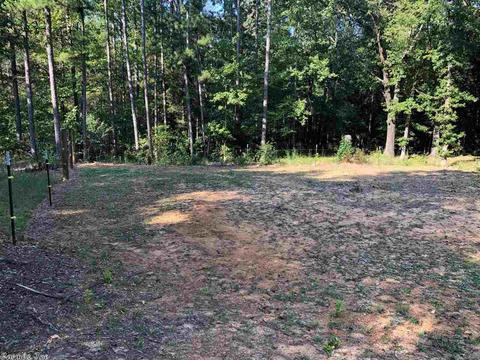 133 E Cadron Ridge Rd, Greenbrier, AR 72058 photo 11
