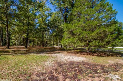 9715 Lowe Ln, Mabelvale, AR 72103 photo 34