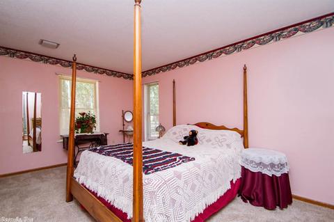 9715 Lowe Ln, Mabelvale, AR 72103 photo 20