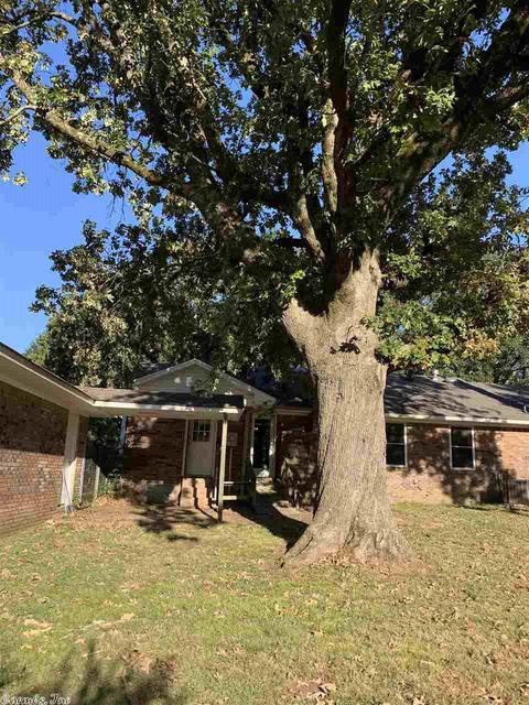1105 E Main, Austin, AR 72007 photo 30