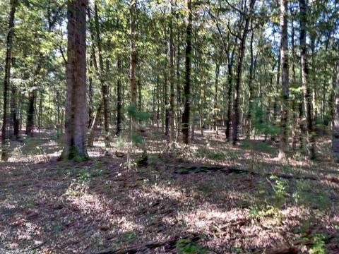 1402 Harper Rd, Jefferson, AR 72079 photo 5