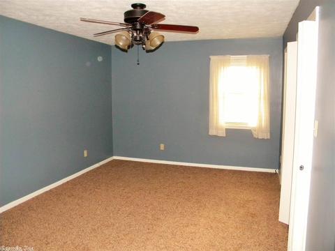 209 Ruby Ln, Horseshoe Bend, AR 72512 photo 9