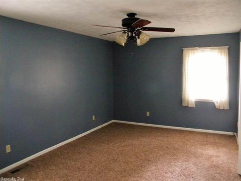 209 Ruby Ln, Horseshoe Bend, AR 72512 photo 8