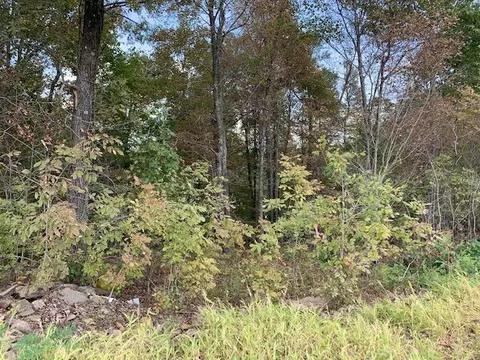 000 Hwy 65 N, Clinton, AR 72031