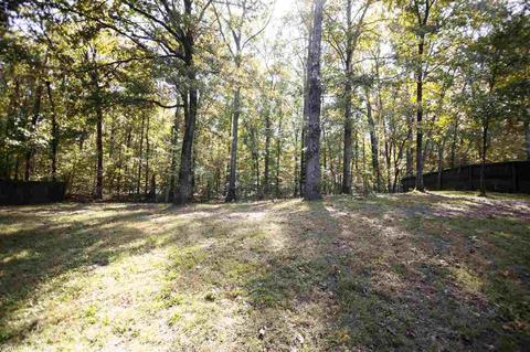 900 Ruth Dr, Bryant, AR 72022 photo 32