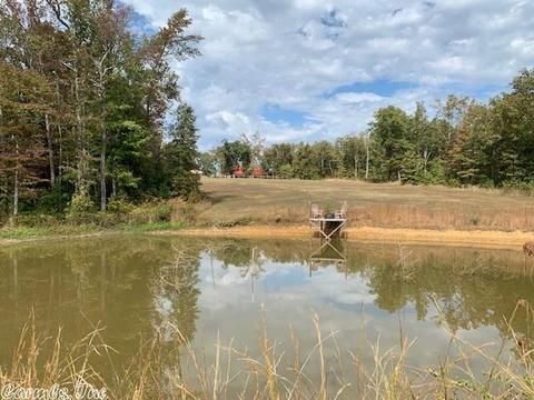 650 Hwy 25 N, Guy, AR 72061 photo 40
