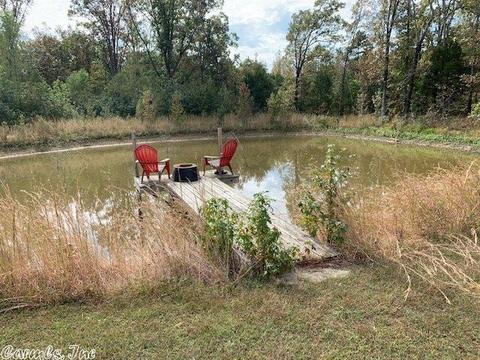 650 Hwy 25 N, Guy, AR 72061 photo 6