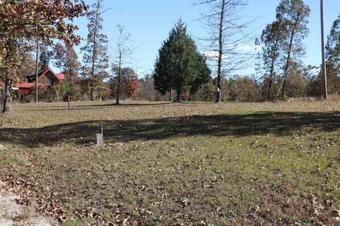 280 Brayden Dr, Mountain View, AR 72560 photo 7