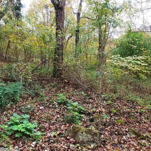 148 Riverview Rd, Hardy, AR 72542 photo 23