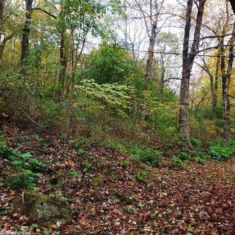 148 Riverview Rd, Hardy, AR 72542 photo 24