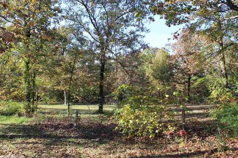 71 Claxton Rd, Ash Flat, AR 72513 photo 35