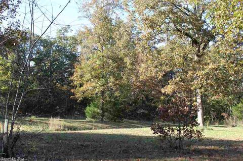 71 Claxton Rd, Ash Flat, AR 72513 photo 29