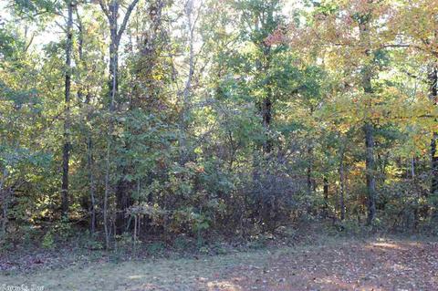 71 Claxton Rd, Ash Flat, AR 72513 photo 32