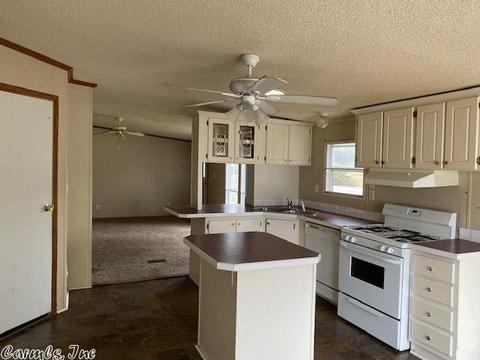65 Brewer, Conway, AR 72032 photo 7