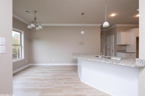 305 Prairie Cv, Benton, AR 72015 photo 11