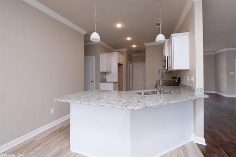 305 Prairie Cv, Benton, AR 72015 photo 12
