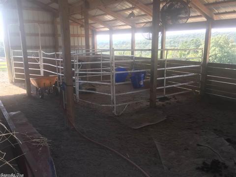 2340 Sunny Slope Rd, Edgemont, AR 72044 photo 29