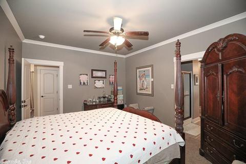 3156 Haley Ct, Benton, AR 72019 photo 29