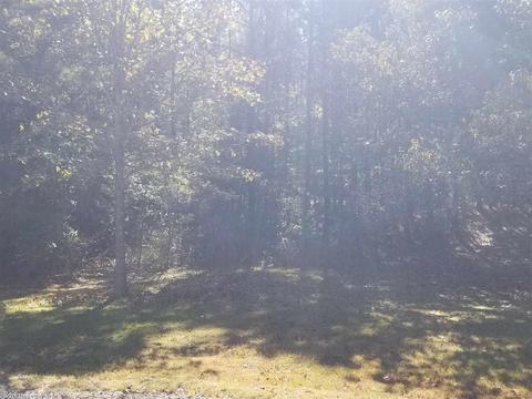 1237 Ryan, Redfield, AR 72132 photo 11
