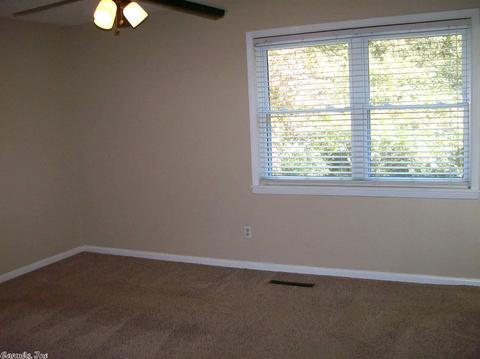 1519 Lenore Dr, Benton, AR 72019 photo 15
