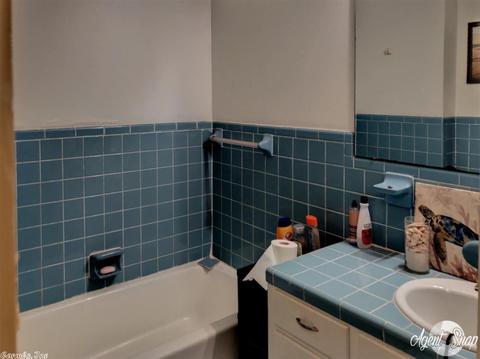 303 Branch St, Lonoke, AR 72086 photo 11