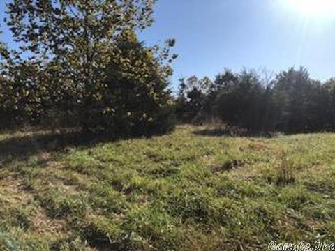 1466 Hawk Ridge Rd, Gepp, AR 72538 photo 11