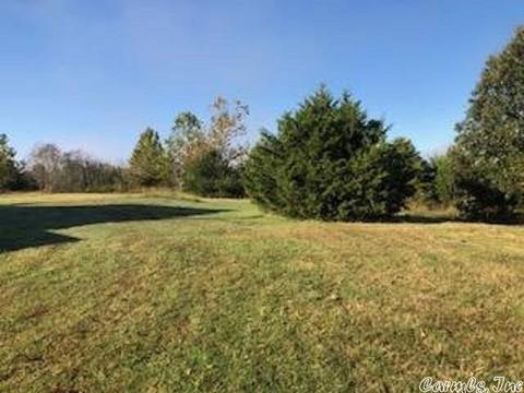 1466 Hawk Ridge Rd, Gepp, AR 72538 photo 6