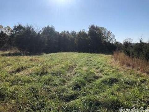 1466 Hawk Ridge Rd, Gepp, AR 72538 photo 10