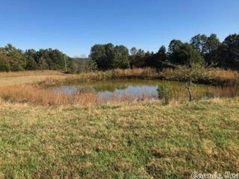 1466 Hawk Ridge Rd, Gepp, AR 72538 photo 35