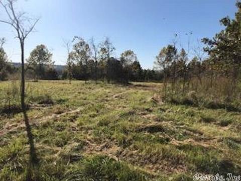 1466 Hawk Ridge Rd, Gepp, AR 72538 photo 13