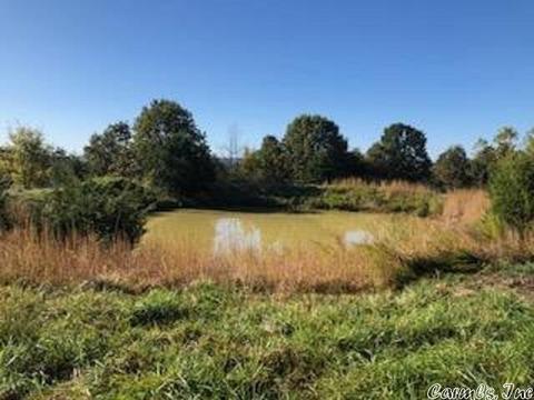 1466 Hawk Ridge Rd, Gepp, AR 72538 photo 9