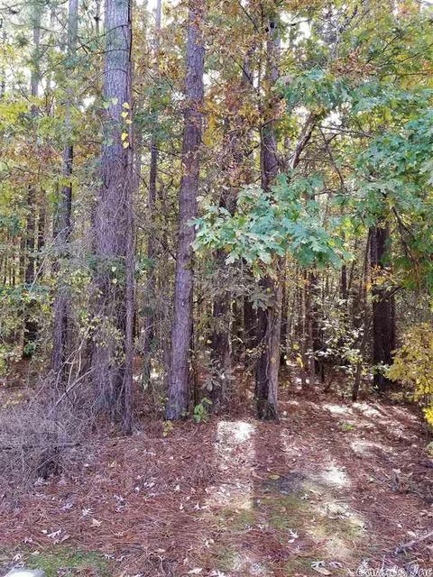 5 Cozy Ln, Redfield, AR 72132 photo 1